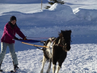 Decouverte ski joering dans les Alpes